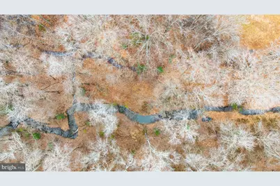 13115 Arcadia Road, Woodford, VA 22580 - Photo 41