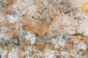 13115 Arcadia Rd, Woodford, VA 22580 - Photo 41