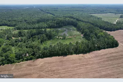 0 Countyline Church Road, Woodford, VA 22580 - Photo 15