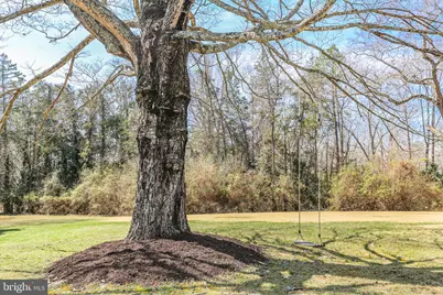 8065 Macedonia, Woodford, VA 22580 - Photo 89