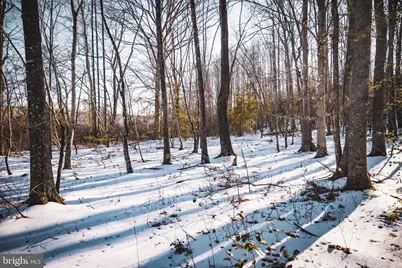 Tbd Sparta Rd, Milford, VA 22514 - Photo 31