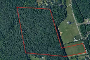 49 26 Acres Jericho Rd, Ruther Glen, VA 22546 - Photo 1