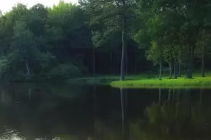 26236 Shannon Mill Dr, Ruther Glen, VA 22546 - Photo 7