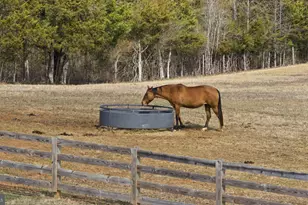 1815 Country Rd, Beaverdam, VA 23015 - Photo 83