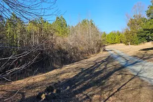 11489 Railroad Ln, Ruther Glen, VA 22546 - Photo 3