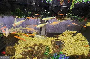 12254 Birkdale Rd, Ruther Glen, VA 22546 - Photo 37