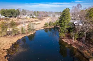 12254 Birkdale Rd, Ruther Glen, VA 22546 - Photo 59