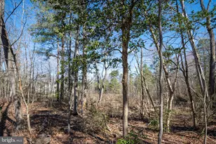 23167 Triple Crown Dr, Ruther Glen, VA 22546 - Photo 49