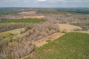 23205 Carneal Ln, Ruther Glen, VA 22546 - Photo 13