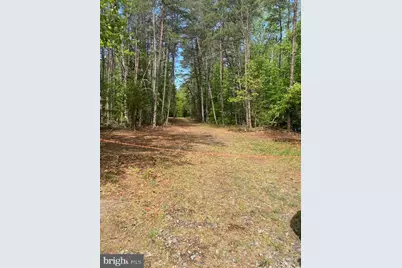 0 Carters Gate Road, Ruther Glen, VA 22546 - Photo 1