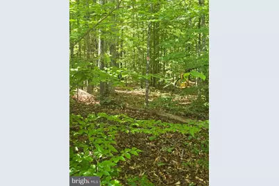 2 McDuff Drive, Ruther Glen, VA 22546 - Photo 3