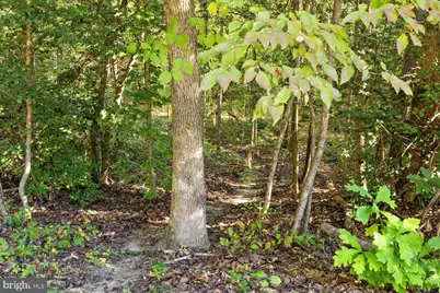 22617 Telegraph Road, Ruther Glen, VA 22546 - Photo 45