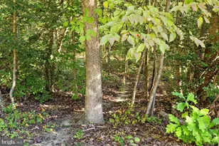 22617 Telegraph Rd, Ruther Glen, VA 22546 - Photo 45