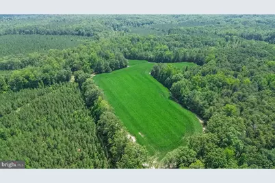 0 Todd Lane, Ruther Glen, VA 22546 - Photo 1