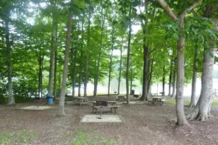 198 Land Or Dr, Ruther Glen, VA 22546 - Photo 41