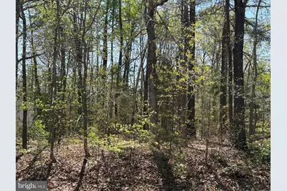 411 Pocahontas Drive, Ruther Glen, VA 22546 - Photo 1
