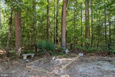 24165 Old C C Road, Ruther Glen, VA 22546 - Photo 31