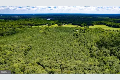 25.5 Acres Ladysmith, Ruther Glen, VA 22546 - Photo 13