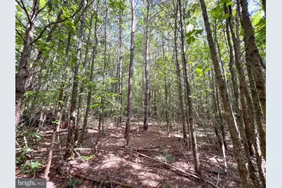 25.5 Acres Ladysmith, Ruther Glen, VA 22546 - Photo 23