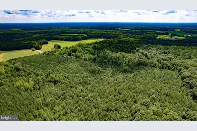 25.5 Acres Ladysmith, Ruther Glen, VA 22546 - Photo 19