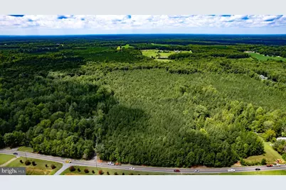 25.5 Acres Ladysmith, Ruther Glen, VA 22546 - Photo 27