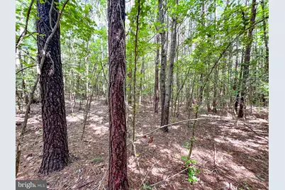 25.5 Acres Ladysmith, Ruther Glen, VA 22546 - Photo 37