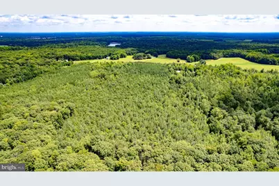 25.5 Acres Ladysmith, Ruther Glen, VA 22546 - Photo 15