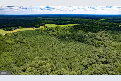 25.5 Acres Ladysmith, Ruther Glen, VA 22546 - Photo 17