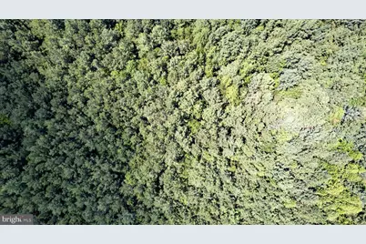25.5 Acres Ladysmith, Ruther Glen, VA 22546 - Photo 31