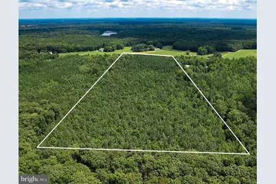 25.5 Acres Ladysmith, Ruther Glen, VA 22546 - Photo 39