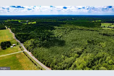 25.5 Acres Ladysmith, Ruther Glen, VA 22546 - Photo 25