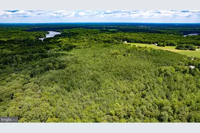 25.5 Acres Ladysmith, Ruther Glen, VA 22546 - Photo 9