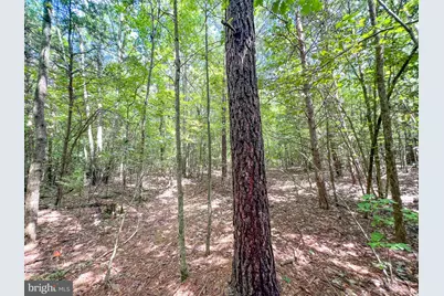 25.5 Acres Ladysmith, Ruther Glen, VA 22546 - Photo 35