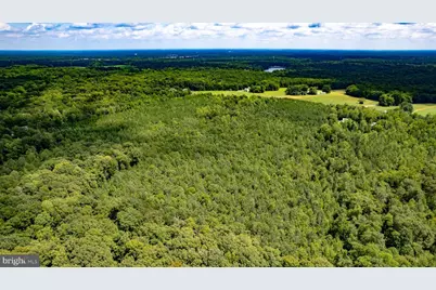 25.5 Acres Ladysmith, Ruther Glen, VA 22546 - Photo 11