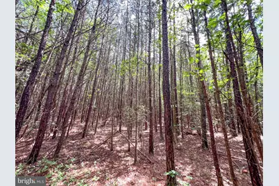 25.5 Acres Ladysmith, Ruther Glen, VA 22546 - Photo 3
