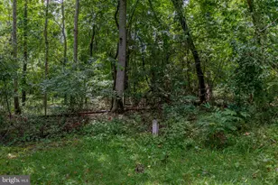 18214 Minor Ln, Ruther Glen, VA 22546 - Photo 27