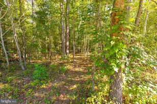 15399 Paige Rd, Woodford, VA 22580 - Photo 37