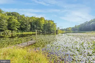 26374 Hill Rd, Ruther Glen, VA 22546 - Photo 15