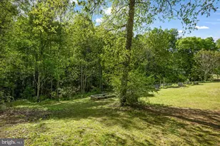 7310 Macedonia Rd, Woodford, VA 22580 - Photo 15