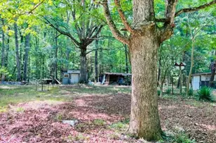3599 Skipwith Rd, Boydton, VA 23917 - Photo 7