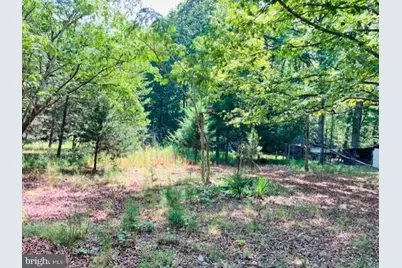 3599 Skipwith Road, Boydton, VA 23917 - Photo 3