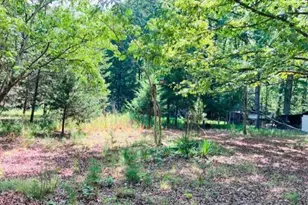 3599 Skipwith Rd, Boydton, VA 23917 - Photo 3