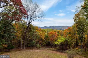 114 Treehouse Pl, Nellysford, VA 22958 - Photo 5