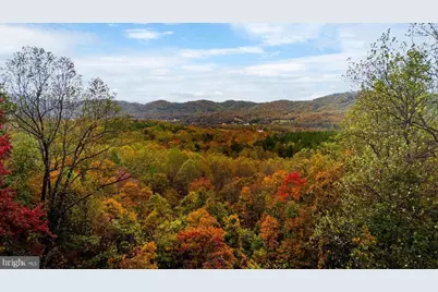 114 Tree House Place, Nellysford, VA 22958 - Photo 51