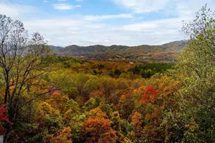 114 Treehouse Pl, Nellysford, VA 22958 - Photo 51