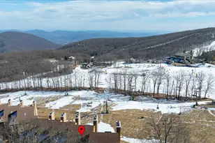 905 Diamond Hill, Wintergreen, VA 22967 - Photo 25