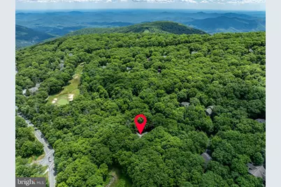 75 N Forest Drive, Wintergreen, VA 22967 - Photo 43
