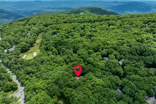 75 N Forest Dr, Wintergreen, VA 22967 - Photo 43