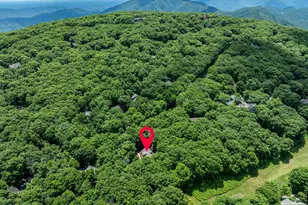 75 N Forest Dr, Wintergreen, VA 22967 - Photo 65