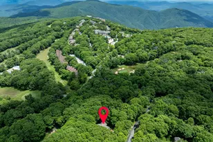 75 N Forest Dr, Wintergreen, VA 22967 - Photo 61